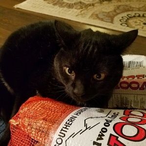 Meet your Posher, Janet